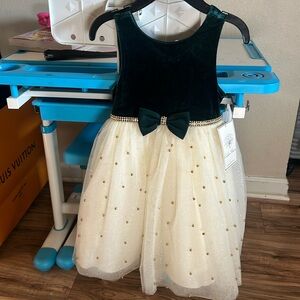 Girl’s  dress new with tags